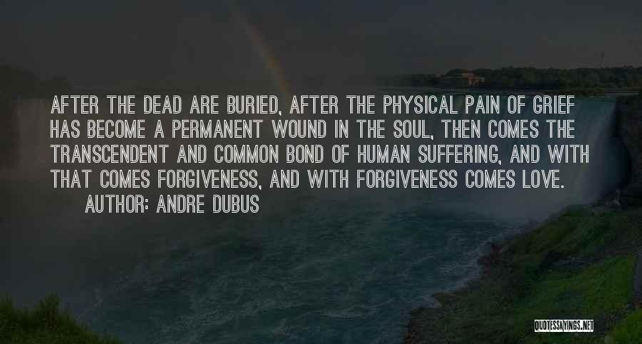 Pain Physical Quotes By Andre Dubus