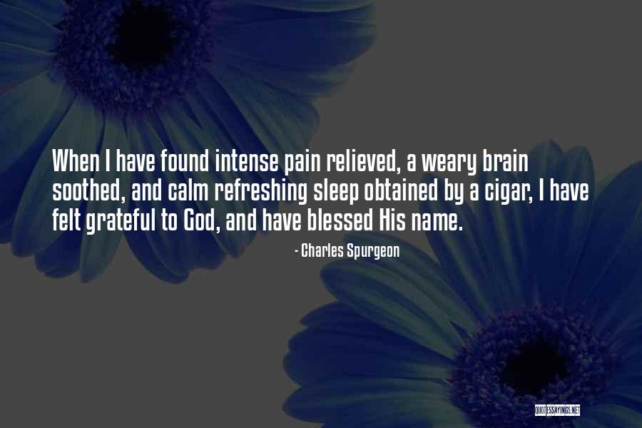 Pain Relieved Quotes By Charles Spurgeon Pain Relieved Quotes By Charles Spurgeon