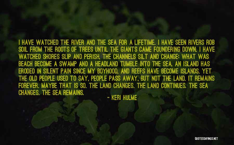 Pain Remains Quotes By Keri Hulme Pain Remains Quotes By Keri Hulme