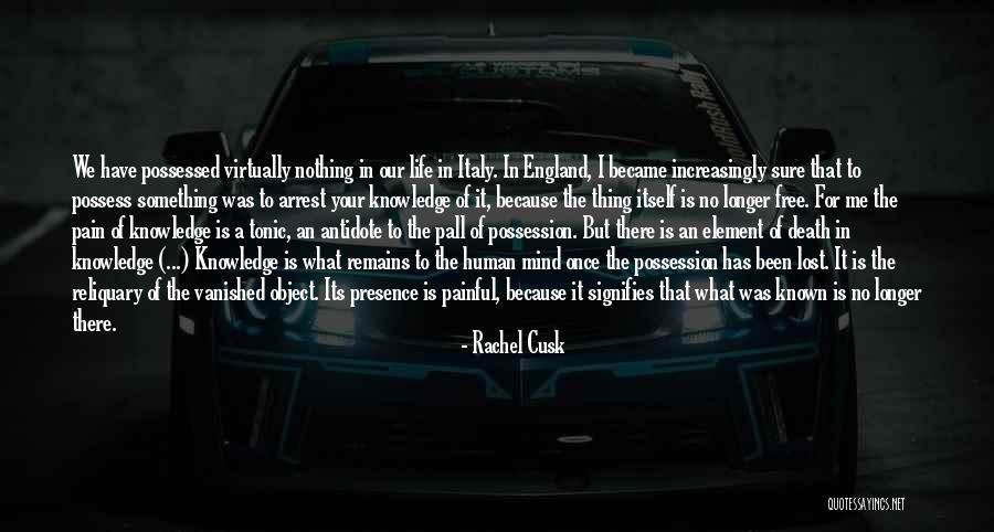 Pain Remains Quotes By Rachel Cusk Pain Remains Quotes By Rachel Cusk