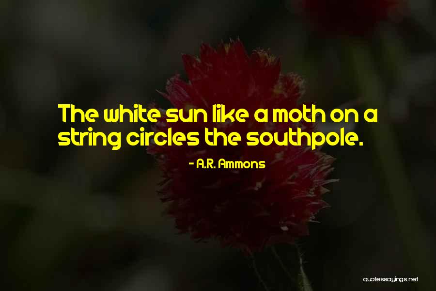 Pain Schedule Quotes By A.R. Ammons Pain Schedule Quotes By A.R. Ammons