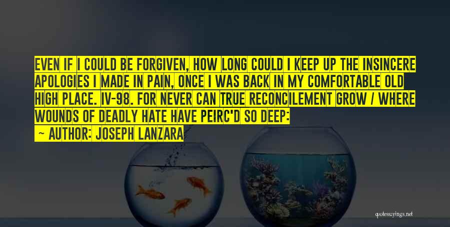Pain So Deep Quotes By Joseph Lanzara