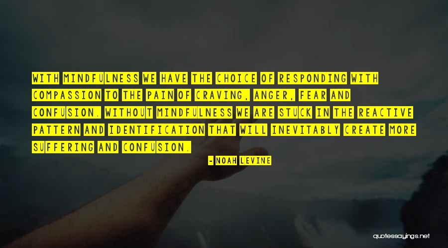 Pain Suffering Quotes By Noah Levine Pain Suffering Quotes By Noah Levine