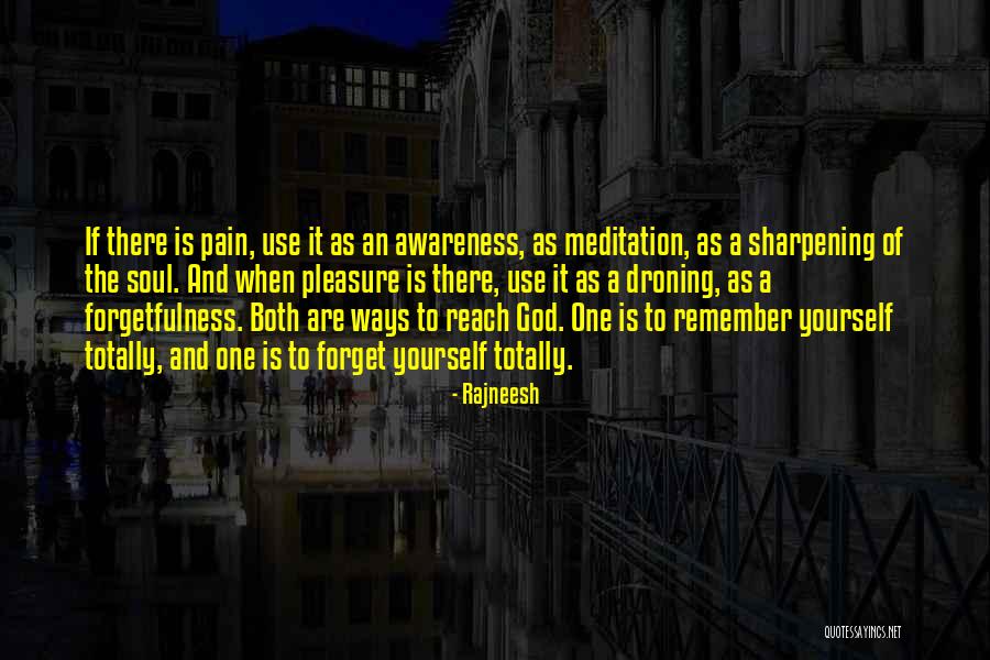Pain That Cannot Forget Quotes By Rajneesh Pain That Cannot Forget Quotes By Rajneesh