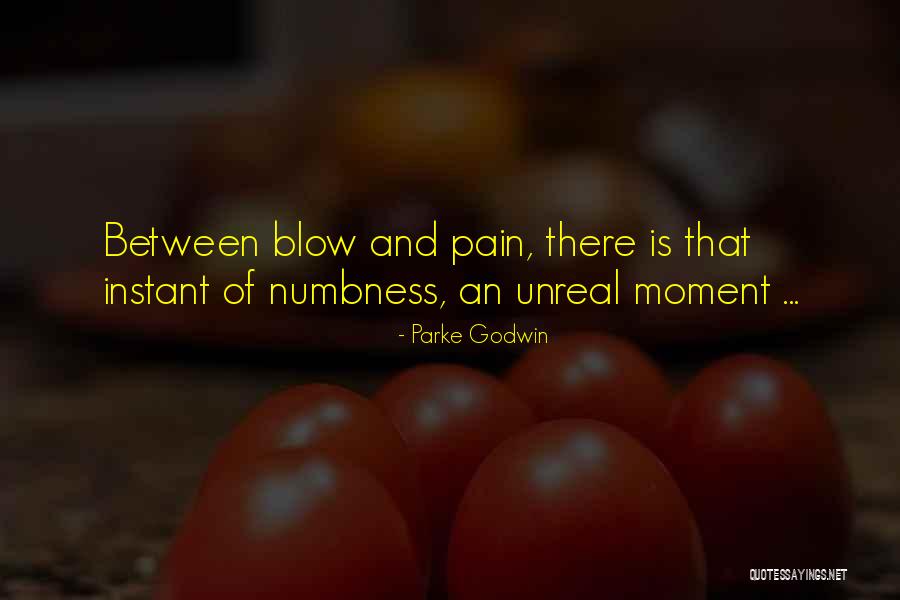 Pain That Quotes By Parke Godwin Pain That Quotes By Parke Godwin