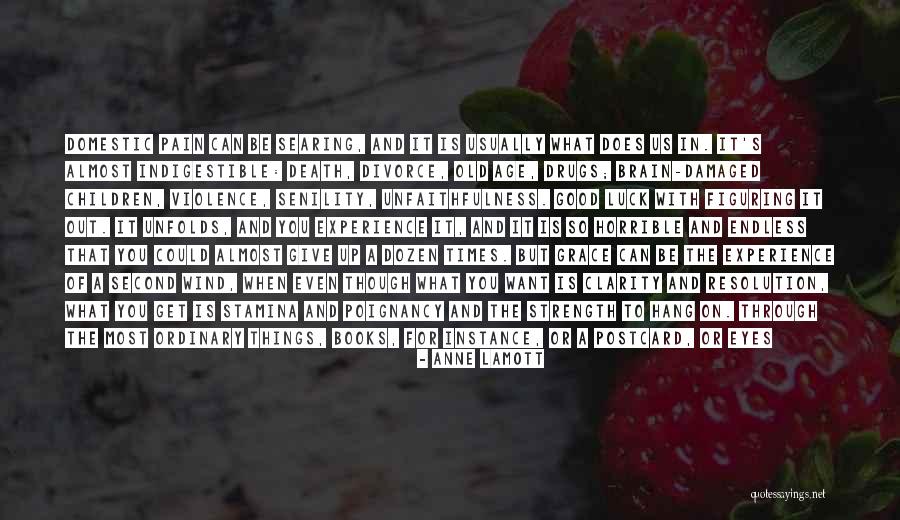 Pain Through The Eyes Quotes By Anne Lamott Pain Through The Eyes Quotes By Anne Lamott