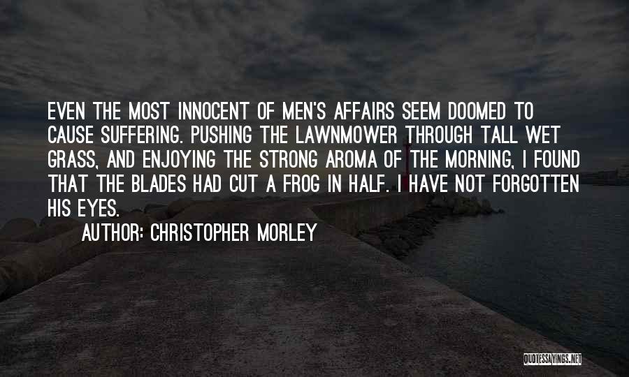 Pain Through The Eyes Quotes By Christopher Morley
