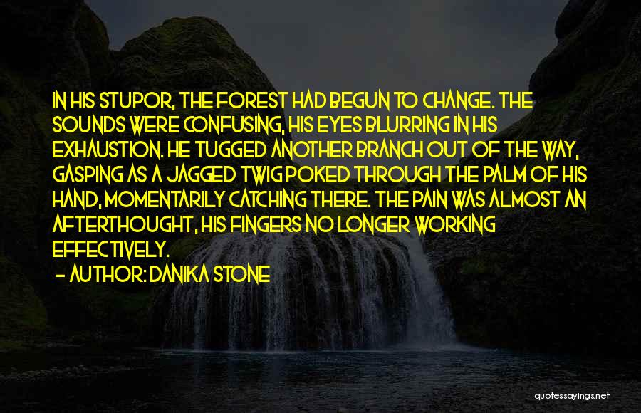 Pain Through The Eyes Quotes By Danika Stone