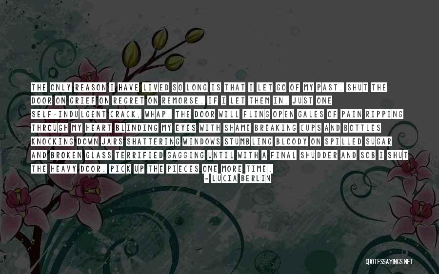 Pain Through The Eyes Quotes By Lucia Berlin Pain Through The Eyes Quotes By Lucia Berlin