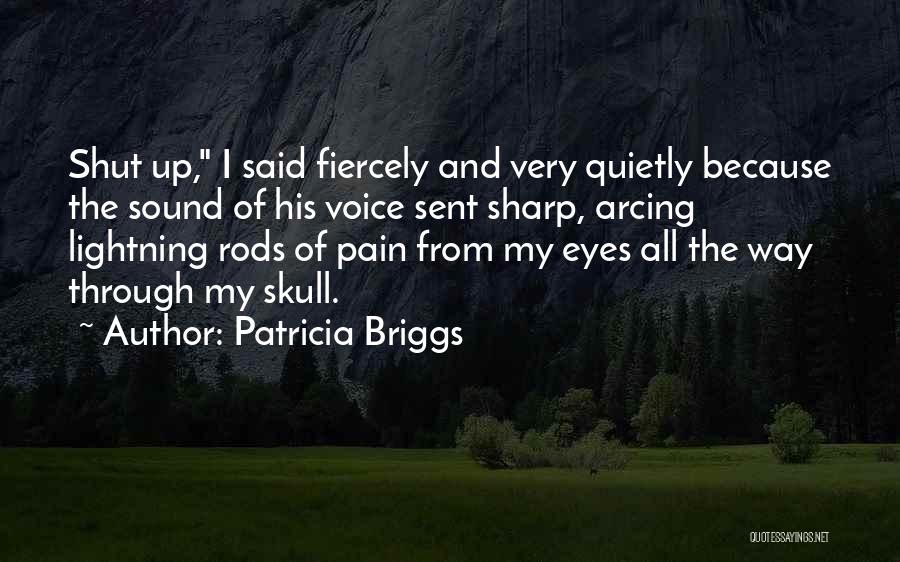 Pain Through The Eyes Quotes By Patricia Briggs