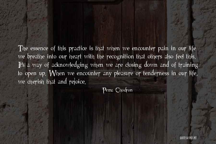 Pain We Heart It Quotes By Pema Chodron Pain We Heart It Quotes By Pema Chodron