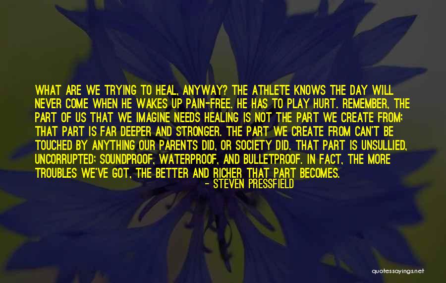 Pain Will Heal Quotes By Steven Pressfield Pain Will Heal Quotes By Steven Pressfield