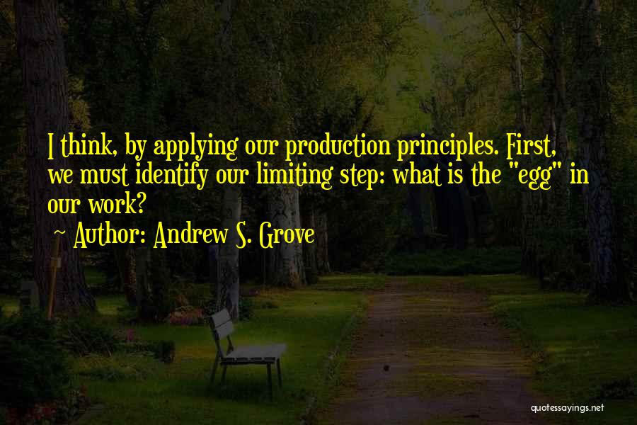 Pained Look Quotes By Andrew S. Grove