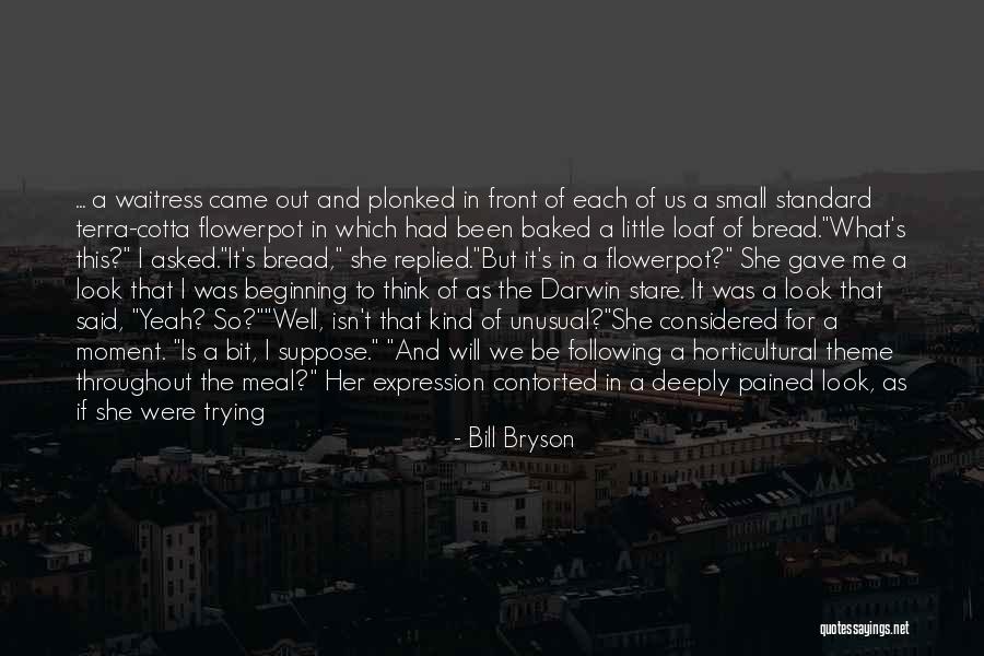 Pained Look Quotes By Bill Bryson