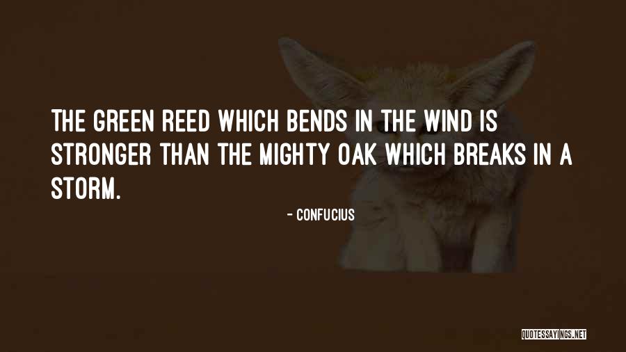 Painful But Purposeful Quotes By Confucius Painful But Purposeful Quotes By Confucius