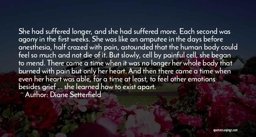 Painful Emotions Quotes By Diane Setterfield