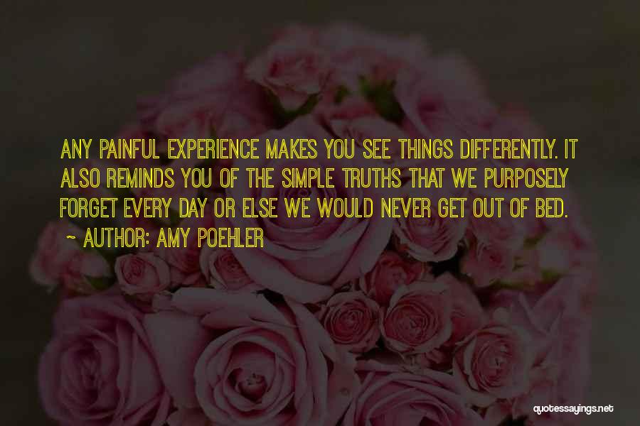Painful Experiences Quotes By Amy Poehler