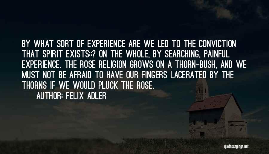 Painful Experiences Quotes By Felix Adler