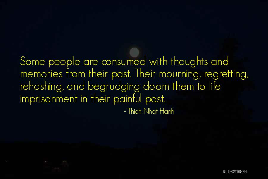 Painful Past Life Quotes By Thich Nhat Hanh