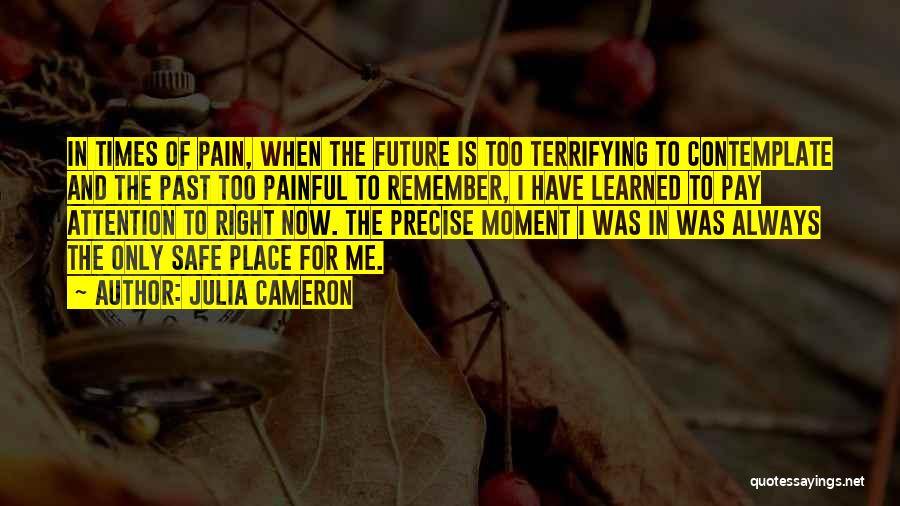 Painful Past Quotes By Julia Cameron