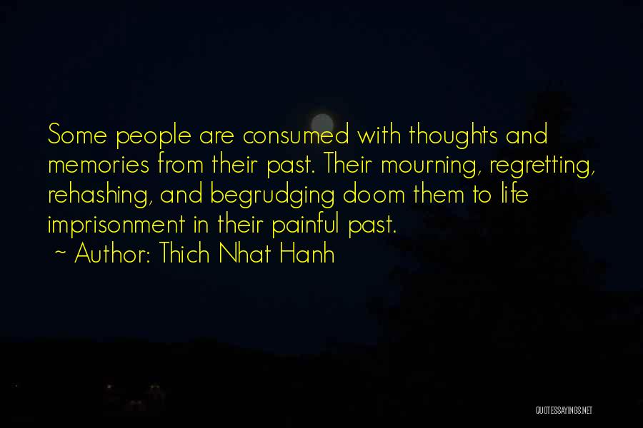 Painful Past Quotes By Thich Nhat Hanh