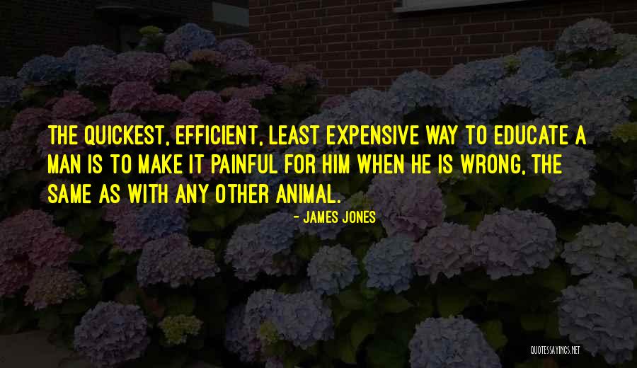 Painful Quotes By James Jones