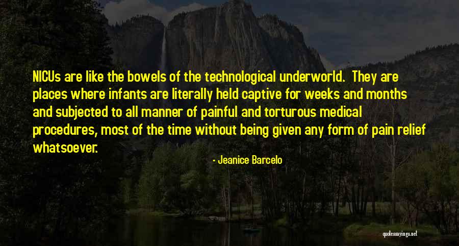 Painful Quotes By Jeanice Barcelo