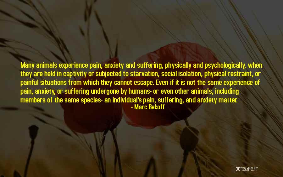 Painful Situations Quotes By Marc Bekoff