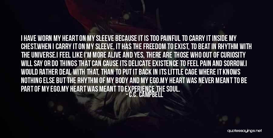 Painful Soul Quotes By C.C. Campbell