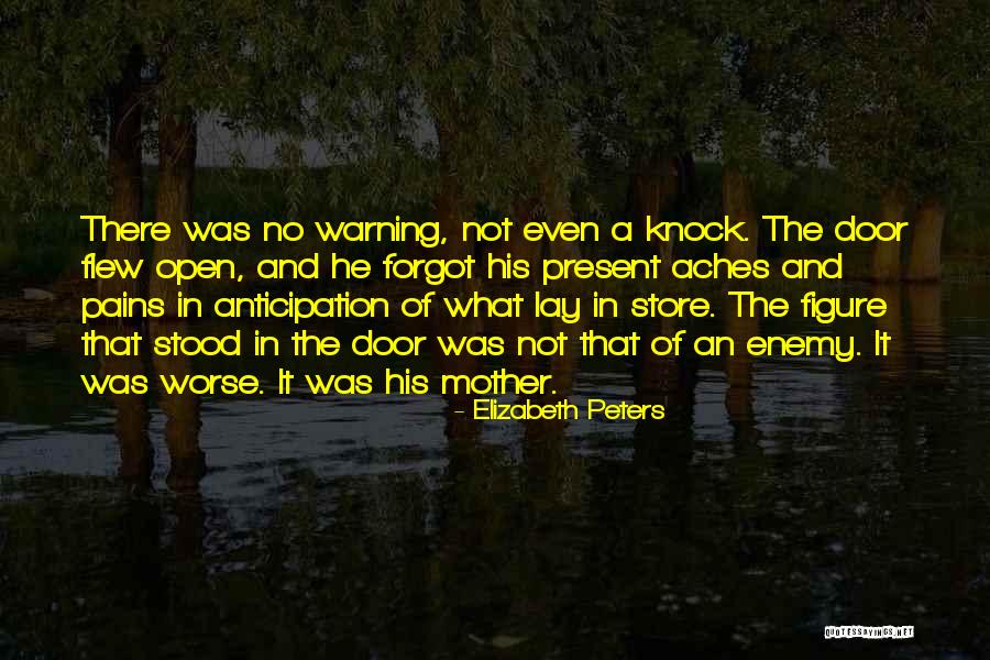 Pains And Aches Quotes By Elizabeth Peters Pains And Aches Quotes By Elizabeth Peters