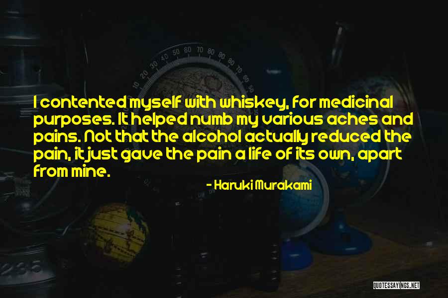 Pains And Aches Quotes By Haruki Murakami Pains And Aches Quotes By Haruki Murakami