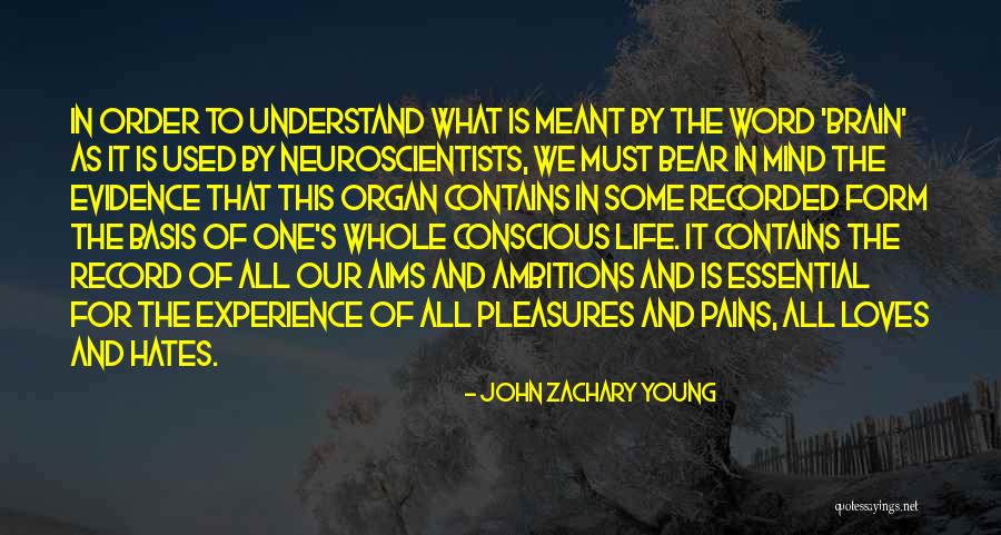 Pains In Life Quotes By John Zachary Young Pains In Life Quotes By John Zachary Young