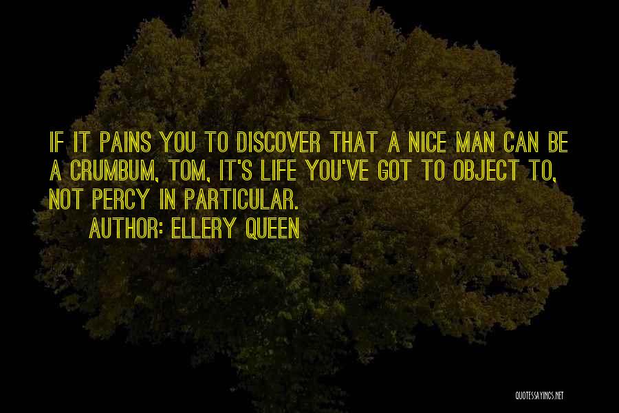 Pains Quotes By Ellery Queen