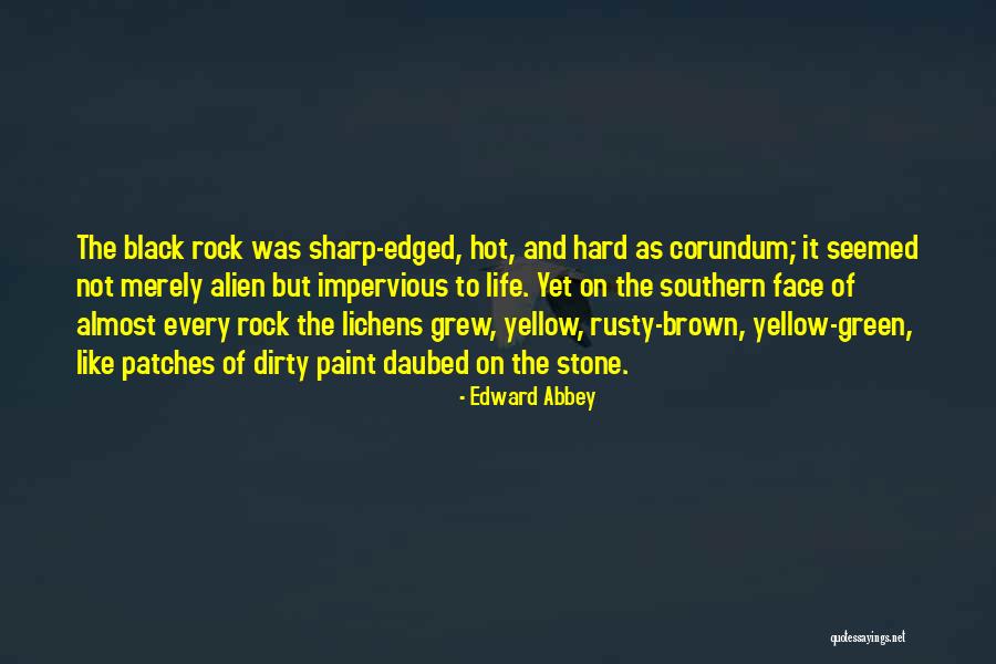 Painstop Quotes By Edward Abbey Painstop Quotes By Edward Abbey
