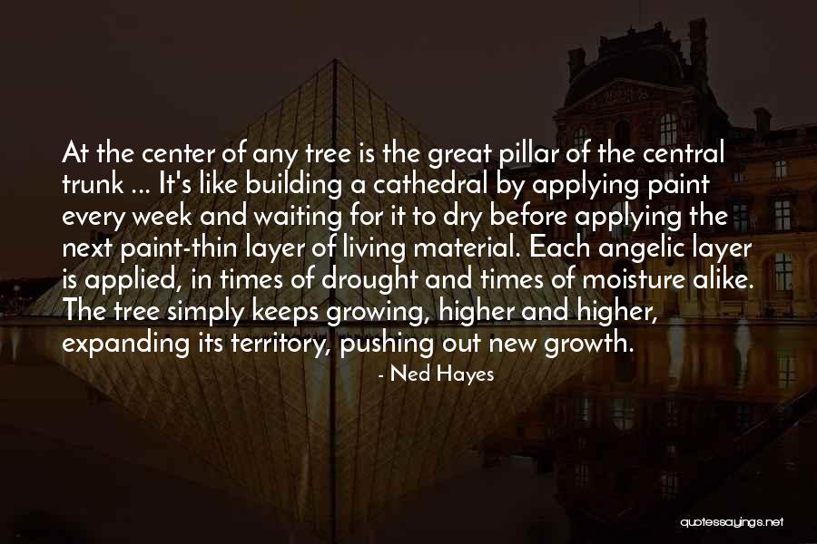 Paint Dry Quotes By Ned Hayes