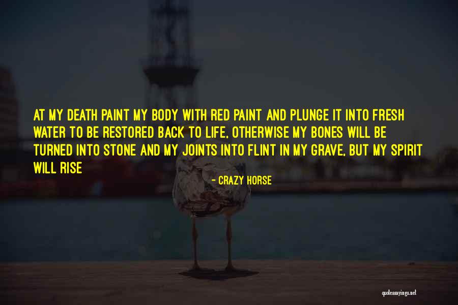 Paint Horse Quotes By Crazy Horse Paint Horse Quotes By Crazy Horse