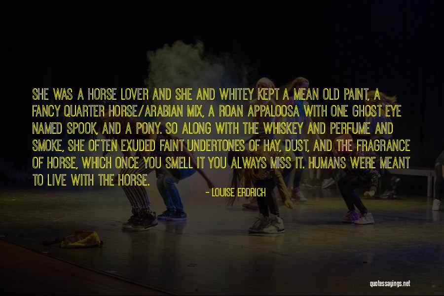 Paint Horse Quotes By Louise Erdrich Paint Horse Quotes By Louise Erdrich
