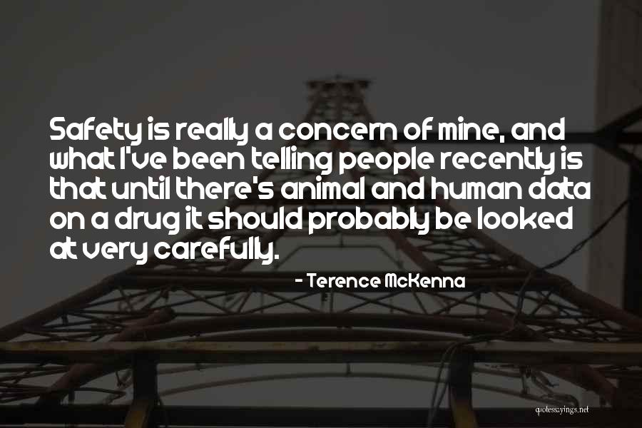 Paint Horse Quotes By Terence McKenna Paint Horse Quotes By Terence McKenna