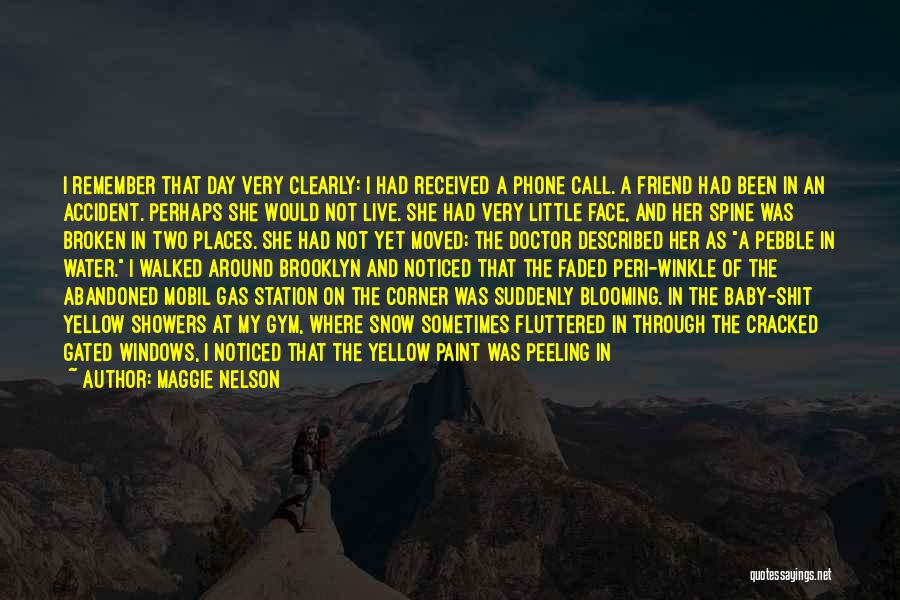 Paint Peeling Quotes By Maggie Nelson