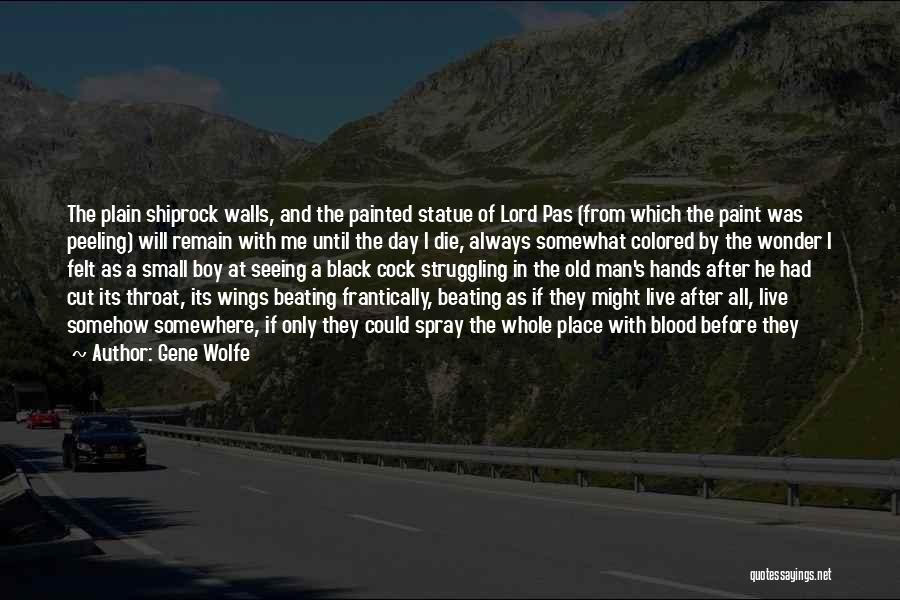 Paint Quotes By Gene Wolfe