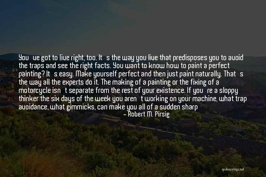 Paint The Rest Of My Days Quotes By Robert M. Pirsig Paint The Rest Of My Days Quotes By Robert M. Pirsig