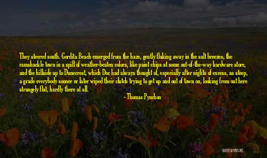 Paint This Town Quotes By Thomas Pynchon Paint This Town Quotes By Thomas Pynchon