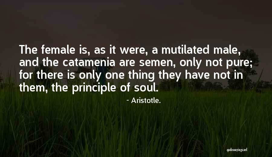 Paintbox Simply Aran Quotes By Aristotle. Paintbox Simply Aran Quotes By Aristotle.
