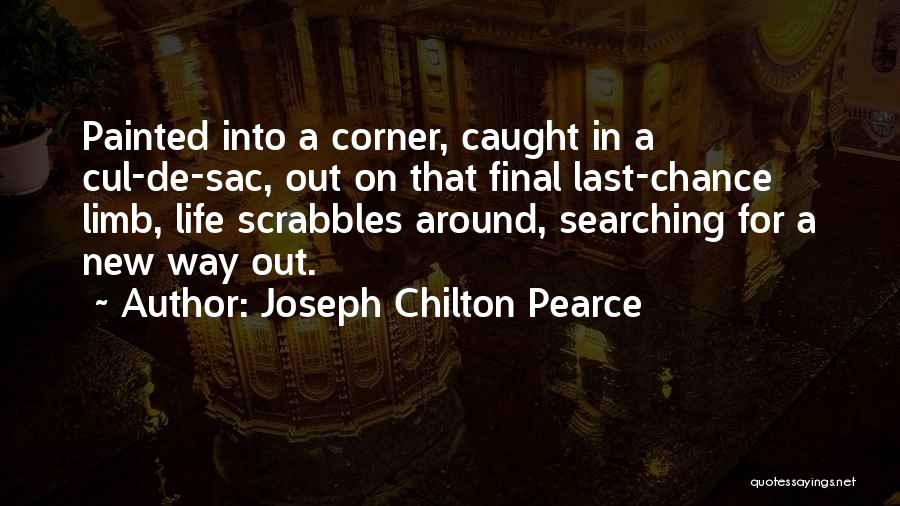 Painted Quotes By Joseph Chilton Pearce