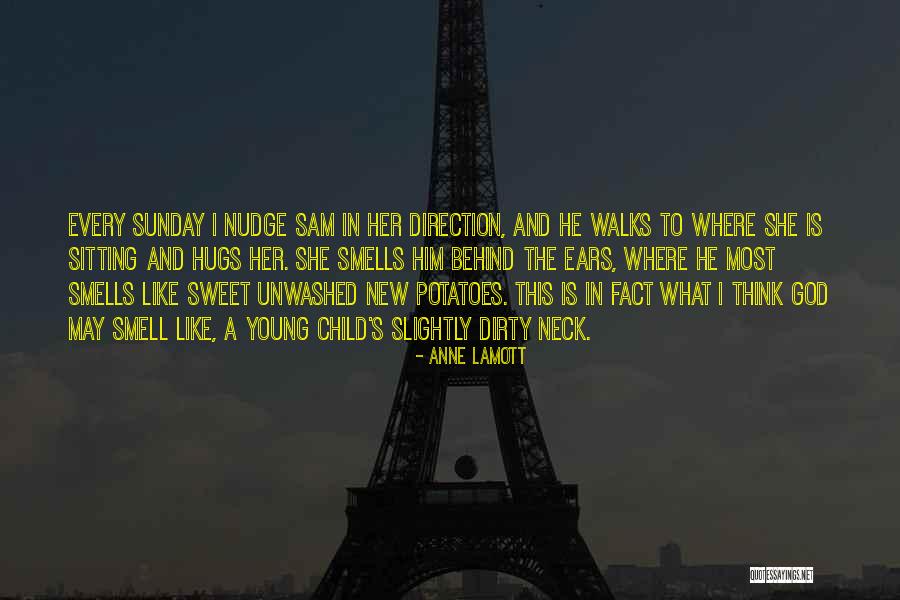 Painted Rocks Quotes By Anne Lamott Painted Rocks Quotes By Anne Lamott