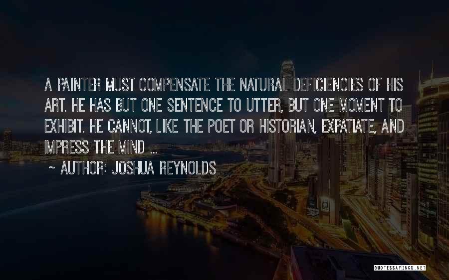 Painter Quotes By Joshua Reynolds