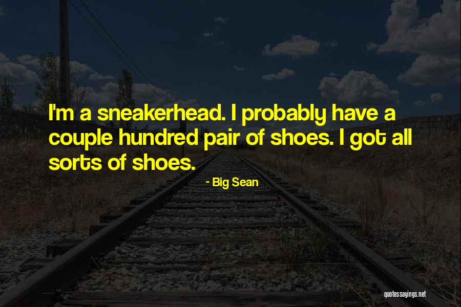 Pair Of Shoes Quotes By Big Sean