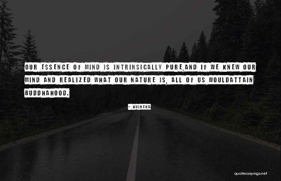 Paislee Sierra Quotes By Huineng Paislee Sierra Quotes By Huineng