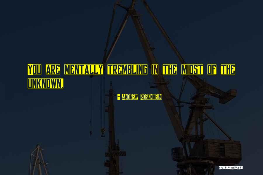 Pajares Translation Quotes By Andrew Rosenheim Pajares Translation Quotes By Andrew Rosenheim