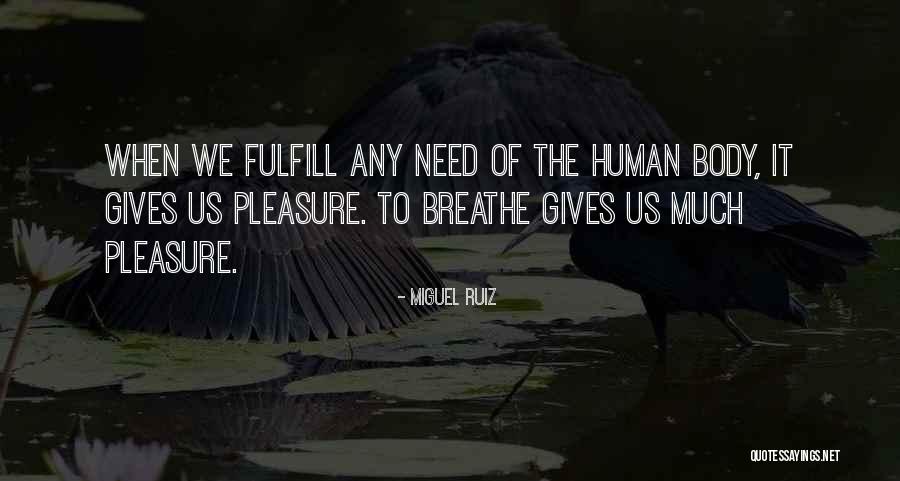 Pajarillo Quotes By Miguel Ruiz Pajarillo Quotes By Miguel Ruiz